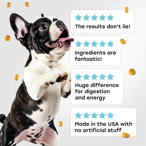 Probiotics for Dogs - PhD Endorsed Digestive Enzymes - Gut Health, Diarrhea & Bowel Support - Dog Treats with Turmeric, Omega-3 & Fiber - Immune Soft 140 Chews - Beef Flavor - Made in USA in Saudi Arabia