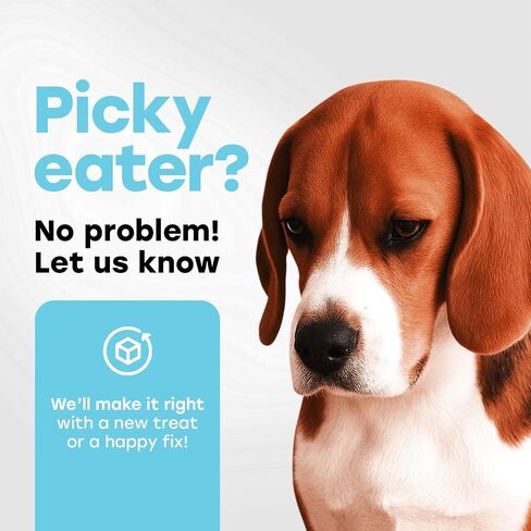 Probiotics for Dogs - PhD Endorsed Digestive Enzymes - Gut Health, Diarrhea & Bowel Support - Dog Treats with Turmeric, Omega-3 & Fiber - Immune Soft 140 Chews - Beef Flavor - Made in USA in Saudi Arabia
