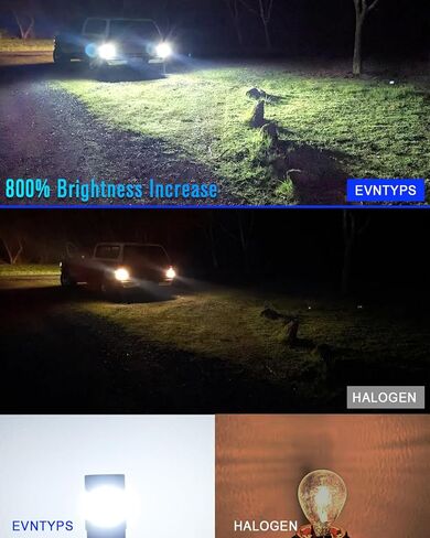 194 LED Bulb White for Car Door Lights 6000K 2825 W5W T10 168 LED Bulb with Projector Replacement for Map Dome Courtesy Dash Glove Box licence plate Lights(10pcs) in Kuwait