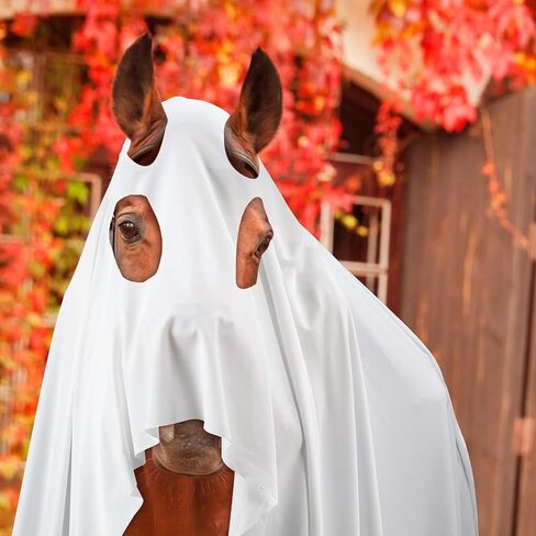 Maiteenly Halloween Horse Costume Ghost Gown Full Body Outfit,Ghost in Saudi Arabia