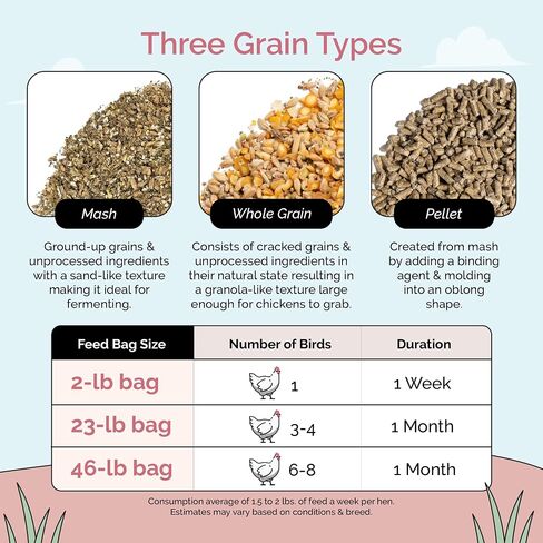 Organic Chicken Feed – Layer Mash, Non-GMO, USA Grown, 16% Protein, Corn-Free, Soy-Free, Non-Medicated Feed for Chickens, 2 lbs Sample in Kuwait