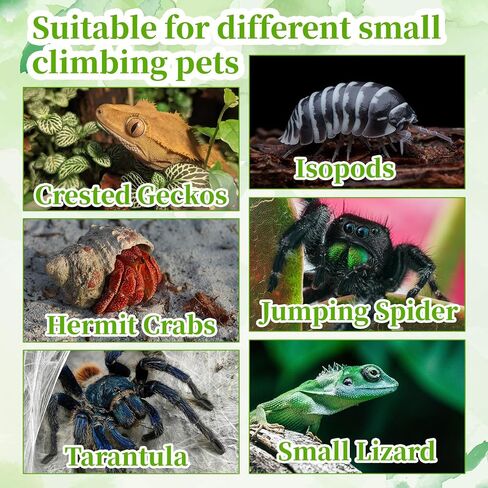 6 PCS Crested Gecko Food and Water Bowl, Reusable Silicone Reptile Feeding Cups for Lizard Anoles Bearded Dragons Tank Terrarium Accessories Supplies for Tortoise, Crab and Small Pet 6 Colors in Saudi Arabia