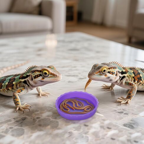 6 PCS Crested Gecko Food and Water Bowl, Reusable Silicone Reptile Feeding Cups for Lizard Anoles Bearded Dragons Tank Terrarium Accessories Supplies for Tortoise, Crab and Small Pet 6 Colors in Saudi Arabia