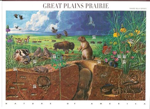 Great Plains Prairie (Nature of America) ، ورقة كاملة من 10 × 34 سنت الطوابع ، الولايات المتحدة الأمريكية 2001 ، سكوت 3506 in Saudi Arabia