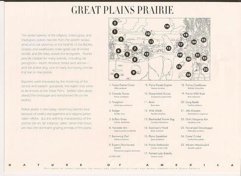 Great Plains Prairie (Nature of America) ، ورقة كاملة من 10 × 34 سنت الطوابع ، الولايات المتحدة الأمريكية 2001 ، سكوت 3506 in Saudi Arabia