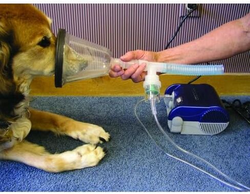 Veterinary Anesthesia Mask Set - 6 Sizes for Dogs/Cats/Birds/Pets - Anesthetic Accessory, Fits Standard Anesthesia Machines - Easy to Clean & Storage Box Included (Animal Use Only) in Saudi Arabia