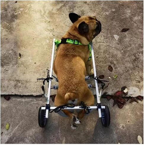 Dog Wheelchair Pets Walking Mobility Aids for Back Legs, Adjustable Recover Wheelchairs for Injured Paralyzed Dogs, Animal Trolley with Leg Brace Hip Support in Saudi Arabia