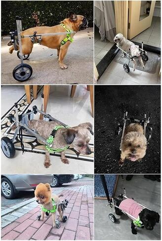 Dog Wheelchair Pets Walking Mobility Aids for Back Legs, Adjustable Recover Wheelchairs for Injured Paralyzed Dogs, Animal Trolley with Leg Brace Hip Support in Saudi Arabia