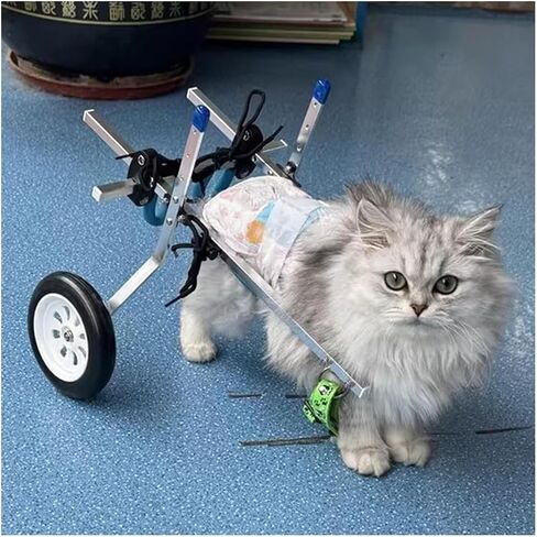 Dog Wheelchair Dog/Cat Wheelchair for Back Legs, XXS/Xs/Small Pet Mobility Aids for Paralyzed, Disabled, Rehabilitation Doggy Leg Support with Fittings in Saudi Arabia