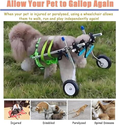 Dog Wheelchair Dog/Cat Wheelchair for Back Legs, XXS/Xs/Small Pet Mobility Aids for Paralyzed, Disabled, Rehabilitation Doggy Leg Support with Fittings in Saudi Arabia