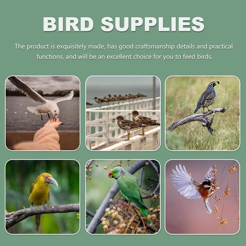 4 pcs Bird Cage Feeder: Clear Thick Semicircle Seed Water Food Trough Cups - Small Animal Dish Container Box for Birds Pigeon Chicken, Transparent Cage Accessories, 4X3.2X2in in Saudi Arabia