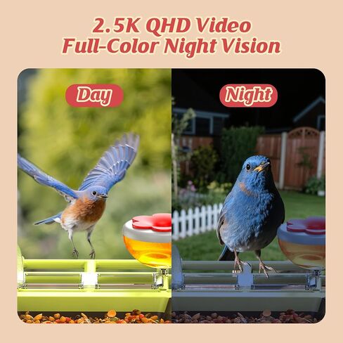 Smart Bird Feeder with Camera Outdoor: 2K Wild Bird Watching Video Cam - Unique Gifts for Nature Lover - Birds House Window at Garden IP66 Solar Charged & Squirrel-Proof Alarm in Saudi Arabia