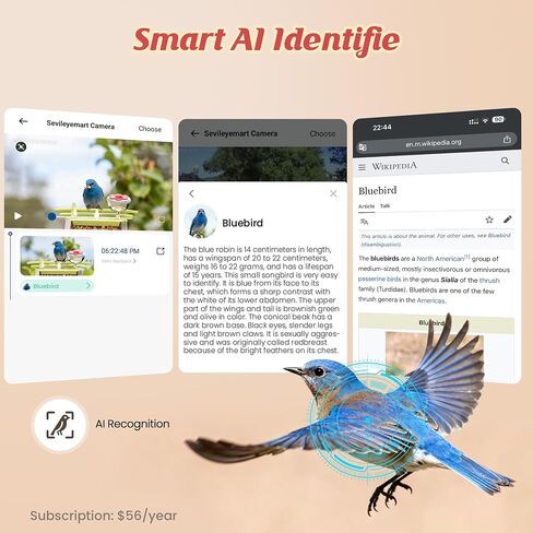 Smart Bird Feeder with Camera Outdoor: 2K Wild Bird Watching Video Cam - Unique Gifts for Nature Lover - Birds House Window at Garden IP66 Solar Charged & Squirrel-Proof Alarm in Saudi Arabia