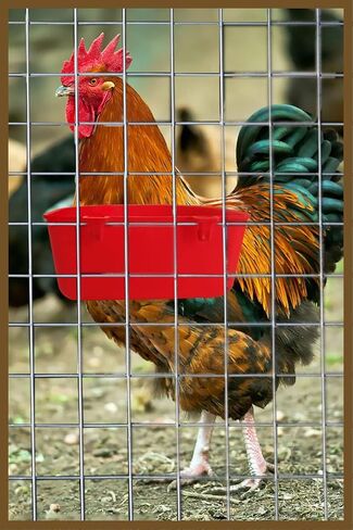 5 Pack Cage Cups Chicken Birds Feeder Water Bowl 25 OZ Rabbit Feeding Watering Dish for Travel Carrier Cat Puppy Food Dispenser Hanging Wire Cages Treats Box Seed Drinking Coop Cup Birdbath in Saudi Arabia
