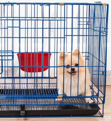 5 Pack Cage Cups Chicken Birds Feeder Water Bowl 25 OZ Rabbit Feeding Watering Dish for Travel Carrier Cat Puppy Food Dispenser Hanging Wire Cages Treats Box Seed Drinking Coop Cup Birdbath in Saudi Arabia