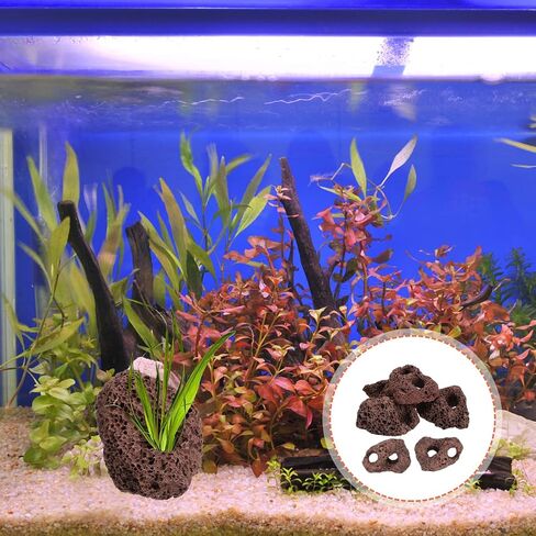 Housoutil Lava Rock Aquarium ، 6pcs Aquarium Stone Plant Plant Rixer الحلي ، زخرفة صخور الأسماك ذات الفتحة المزدوجة للهوكابينج ، خزان الأسماك ، Terrarium وتصميم المناظر الطبيعية in Kuwait