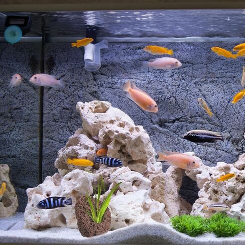 Housoutil Lava Rock Aquarium ، 6pcs Aquarium Stone Plant Plant Rixer الحلي ، زخرفة صخور الأسماك ذات الفتحة المزدوجة للهوكابينج ، خزان الأسماك ، Terrarium وتصميم المناظر الطبيعية in Kuwait