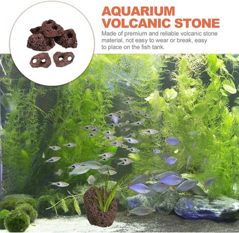 Housoutil Lava Rock Aquarium ، 6pcs Aquarium Stone Plant Plant Rixer الحلي ، زخرفة صخور الأسماك ذات الفتحة المزدوجة للهوكابينج ، خزان الأسماك ، Terrarium وتصميم المناظر الطبيعية in Kuwait