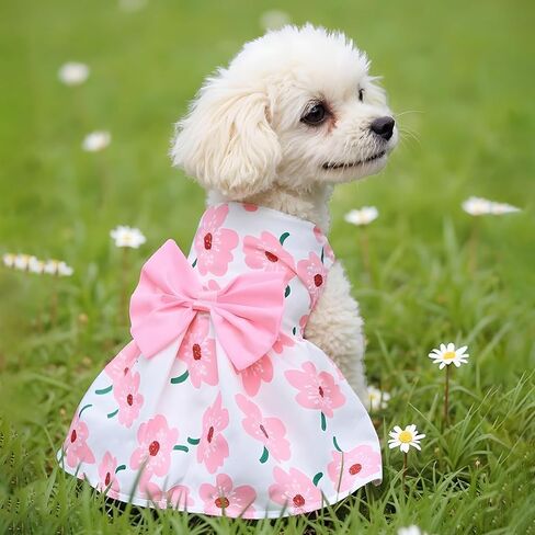 ثياب ثياب حيوان أليف للكلب ، فساتين جرو زهرية لطيفة للحيوانات الأليفة القوس بويكست ملابس جرو لطيفة ملابس الصيف للبيانات الصغيرة والكلاب الصغيرة (صغيرة) (صغيرة) in Kuwait