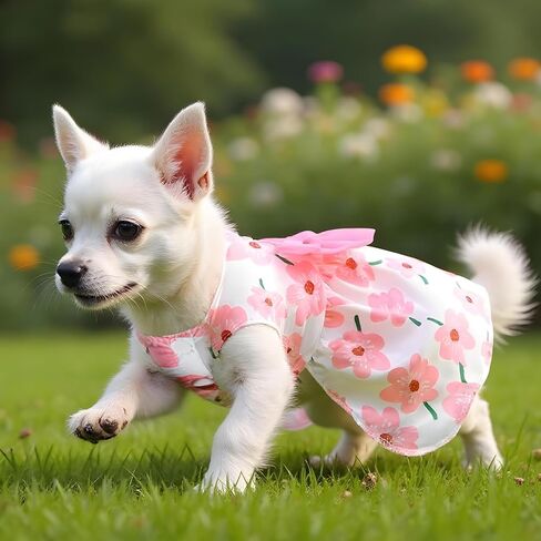 ثياب ثياب حيوان أليف للكلب ، فساتين جرو زهرية لطيفة للحيوانات الأليفة القوس بويكست ملابس جرو لطيفة ملابس الصيف للبيانات الصغيرة والكلاب الصغيرة (صغيرة) (صغيرة) in Kuwait