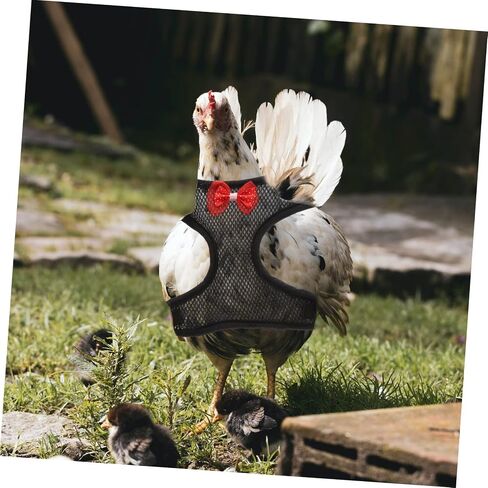 Totority Chicken Harness Leash for Outdoor Walking Comfortable Hen Harness with Strong Pulling Rope Safe Pet Leash for Roosters and Hens in Saudi Arabia