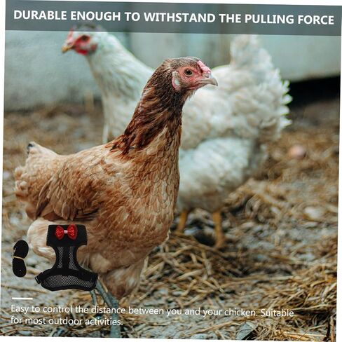 Totority Chicken Harness Leash for Outdoor Walking Comfortable Hen Harness with Strong Pulling Rope Safe Pet Leash for Roosters and Hens in Saudi Arabia