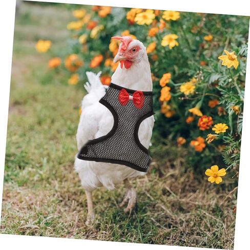 Totority Chicken Harness Leash for Outdoor Walking Comfortable Hen Harness with Strong Pulling Rope Safe Pet Leash for Roosters and Hens in Saudi Arabia