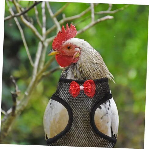 Totority Chicken Harness Leash for Outdoor Walking Comfortable Hen Harness with Strong Pulling Rope Safe Pet Leash for Roosters and Hens in Saudi Arabia