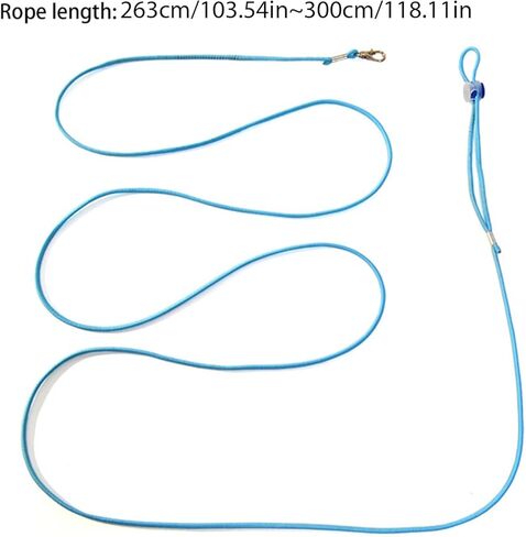 Escape Proof Parrot Bird Leash with Cord Elastic Bird Leash With Metal Ankle Rings Pet Bird Training Rope 3Meter in Kuwait
