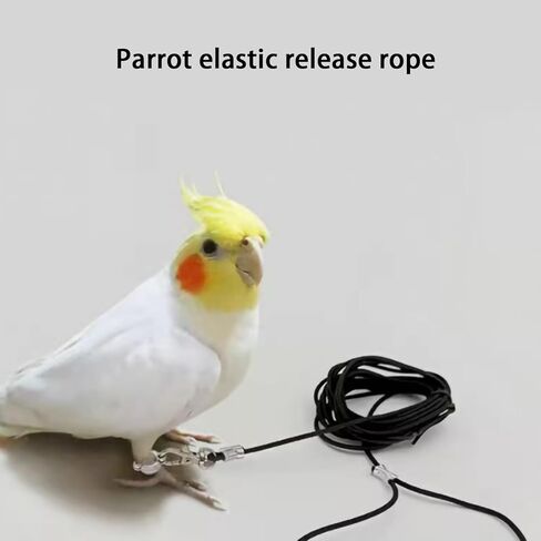 Escape Proof Parrot Bird Leash with Cord Elastic Bird Leash With Metal Ankle Rings Pet Bird Training Rope 3Meter in Kuwait