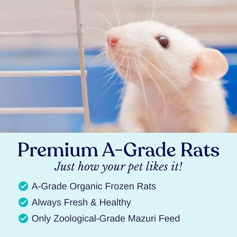 Micedirect Frozen Mice Small Pinkie Feeders Snake Food for Cork Snakes Ball Ball Pythons (.5-1 Inch) (200 Count) in Kuwait