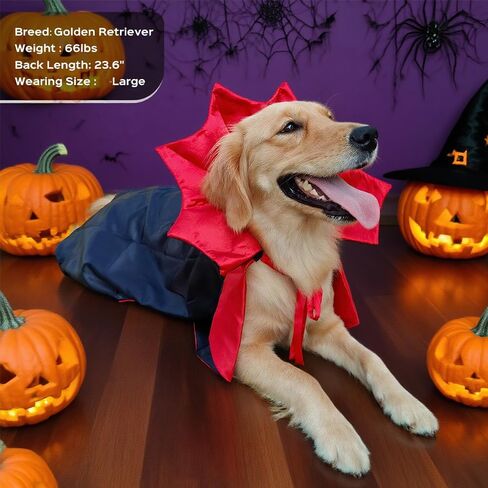زي الكلب هالوين سلالة كبيرة ، أزياء مصاصي الدماء الكلب الكبير القابل للتعديل XL XXL ، Golden Retriever German Shepherd Halloween Red Red (Black ، Large) in Kuwait