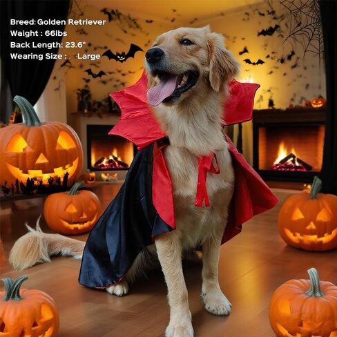 زي الكلب هالوين سلالة كبيرة ، أزياء مصاصي الدماء الكلب الكبير القابل للتعديل XL XXL ، Golden Retriever German Shepherd Halloween Red Red (Black ، Large) in Kuwait