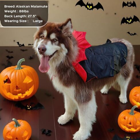 زي الكلب هالوين سلالة كبيرة ، أزياء مصاصي الدماء الكلب الكبير القابل للتعديل XL XXL ، Golden Retriever German Shepherd Halloween Red Red (Black ، Large) in Kuwait