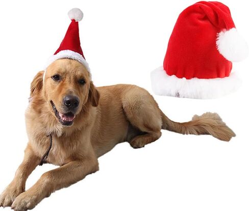 زي الكلب هالوين سلالة كبيرة ، أزياء مصاصي الدماء الكلب الكبير القابل للتعديل XL XXL ، Golden Retriever German Shepherd Halloween Red Red (Black ، Large) in Kuwait