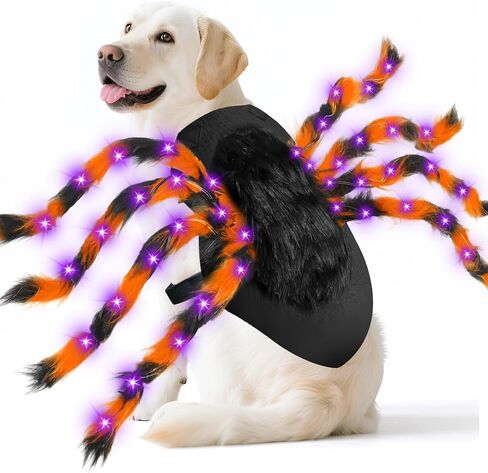 Camlinbo 24 LED Spider Dog Assume for Small Medium Carge Dogs ، Spider Giant Giant With Orange Purple Lights Puppy Costume Assume Assite Clother Funder Halloween Costume Party Cosplay in Saudi Arabia