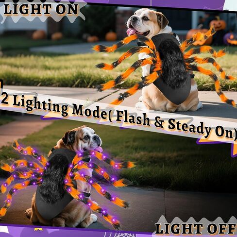 Camlinbo 24 LED Spider Dog Assume for Small Medium Carge Dogs ، Spider Giant Giant With Orange Purple Lights Puppy Costume Assume Assite Clother Funder Halloween Costume Party Cosplay in Saudi Arabia