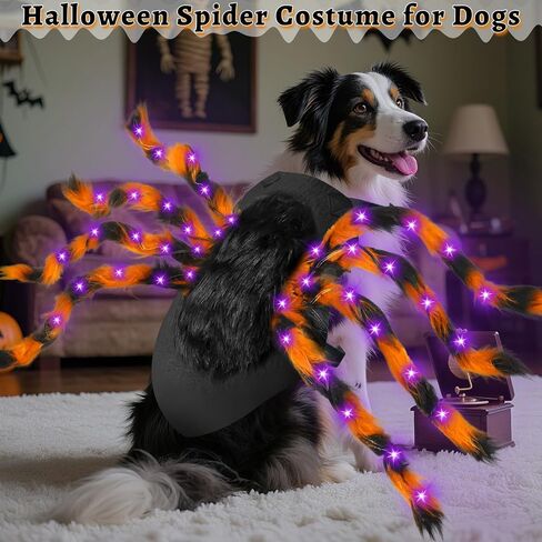 Camlinbo 24 LED Spider Dog Assume for Small Medium Carge Dogs ، Spider Giant Giant With Orange Purple Lights Puppy Costume Assume Assite Clother Funder Halloween Costume Party Cosplay in Saudi Arabia