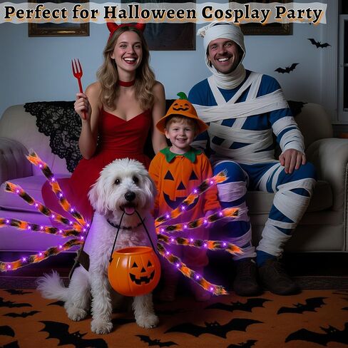 Camlinbo 24 LED Spider Dog Assume for Small Medium Carge Dogs ، Spider Giant Giant With Orange Purple Lights Puppy Costume Assume Assite Clother Funder Halloween Costume Party Cosplay in Saudi Arabia