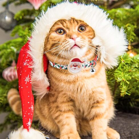 Cat Collars Breakaway with Bell - Halloween/Thanksgiving/Christmas Pattern Fall Pet Collar 3 Pack for Kittens Puppies and Tiny Pets Small Pets in Kuwait