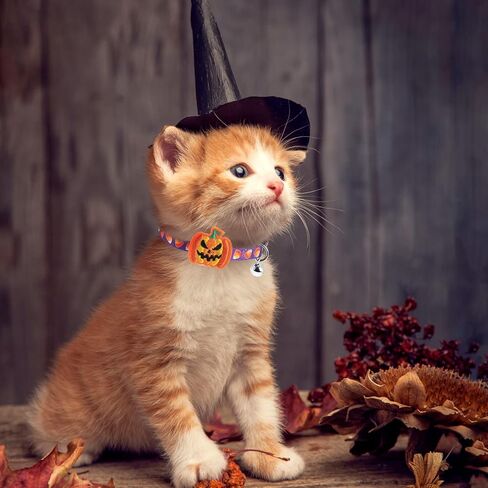 Cat Collars Breakaway with Bell - Halloween/Thanksgiving/Christmas Pattern Fall Pet Collar 3 Pack for Kittens Puppies and Tiny Pets Small Pets in Kuwait
