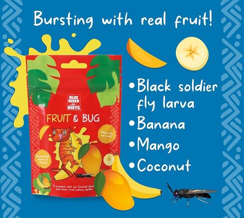 Crested Gecko Diet | Fruit & Bug | All Natural Low Fat Complete Gecko Food | 2.1oz in Saudi Arabia