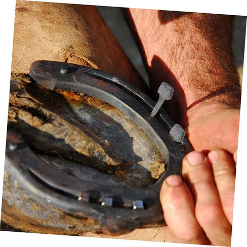 Ganazono 20pcs Horse Hoof Care Accessories Iron Horseshoe Nails Hoof Repair Apair Fearsistrian Equistrian Equistrian in Kuwait