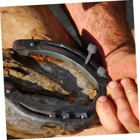 Toyvian 20pcs Iron Horseshoe Nails for Hoof Care Sturdy Metal Horseshoe Tools for Equestrian Maintenance and Training Essential Horse Hoof Repair Accessories in Saudi Arabia