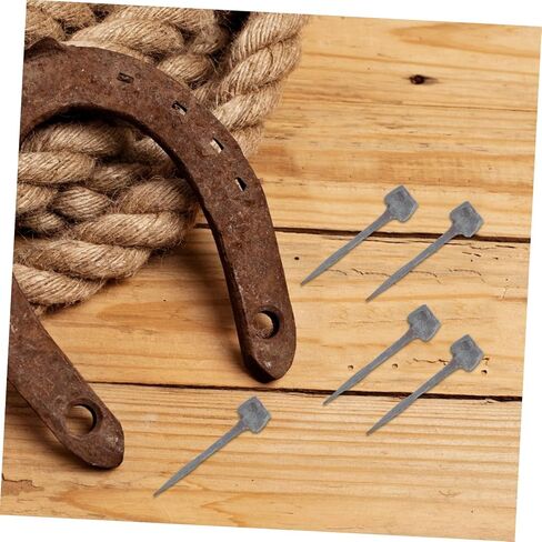 Toyvian 20pcs Iron Horseshoe Nails for Hoof Care Sturdy Metal Horseshoe Tools for Equestrian Maintenance and Training Essential Horse Hoof Repair Accessories in Saudi Arabia
