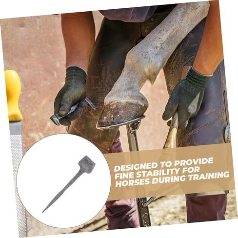 Supvox 20pcs Horseshoe Nails Horseshoe Nail for Protection Horseshoe Repair Horse Horse Horse Horse Toof Horse Hors in Kuwait