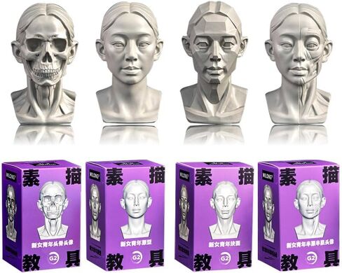 4Pack Female Standard Planar Head ، نموذج للفنانين يتعلمون طائرات الوجه ، رأس Manikin البشري للرسوم الطبية والفنية رسم رسم ، أنثى في منتصف العمر (ب) in Kuwait