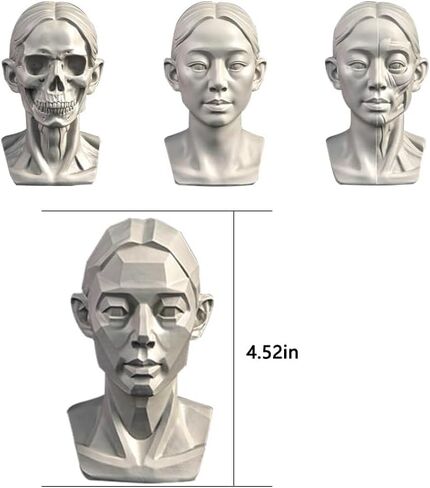4Pack Female Standard Planar Head ، نموذج للفنانين يتعلمون طائرات الوجه ، رأس Manikin البشري للرسوم الطبية والفنية رسم رسم ، أنثى في منتصف العمر (ب) in Kuwait