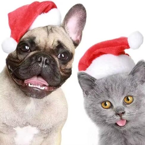 قبعة Pet Santa for Dogs ، قبعات عيد الميلاد للقطط ، إكسسوارات زي زخرفة أزياء عيد الميلاد جرو in Saudi Arabia
