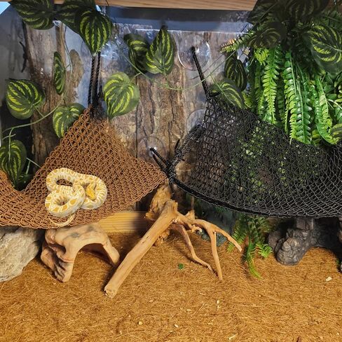 Bearded Dragon Hammock Lizard Climbing Hammock Lounger Collapsible Reptile Climbing Wall Bridge Tank Accessories for Gecko Snake Hermit Crab Chameleon (1 Pcs) in Saudi Arabia